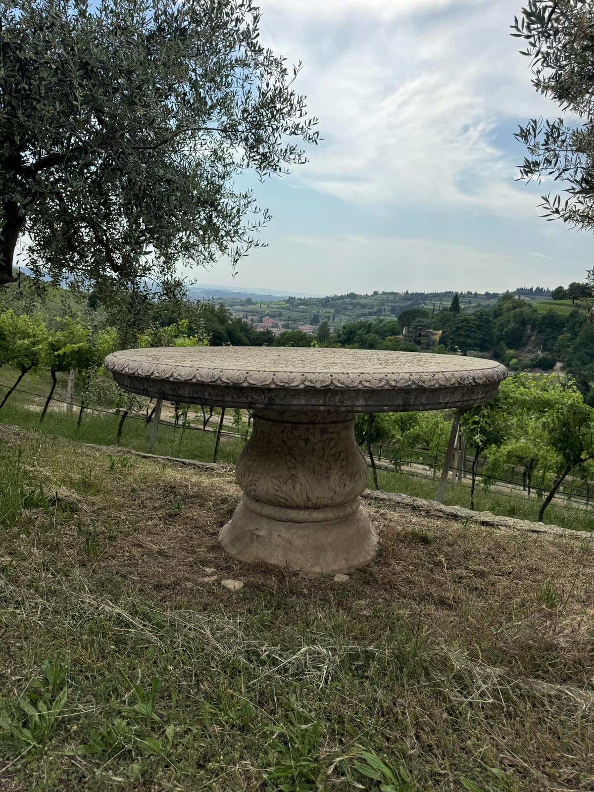 Grande vasca circolare in pietra scolpita e consumata dal tempo, in un giardino con ulivi